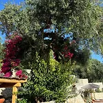 Aurora Paxos