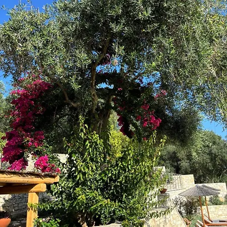 Aurora Paxos