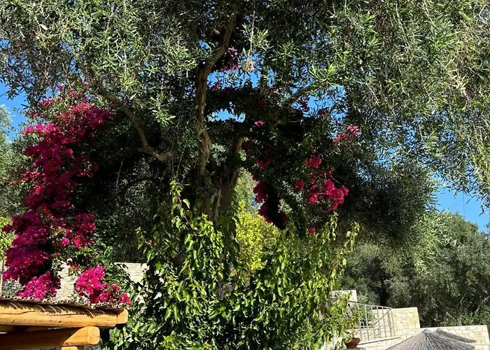 Aurora Paxos